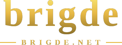 brigde logotipo